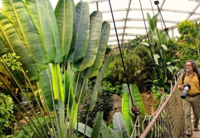 Empfehlung: Zoo Leipzig mit „Gondwanaland“ Empfehlung: Zoo Leipzig mit „Gondwanaland“